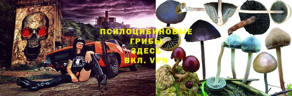 стафф Армянск