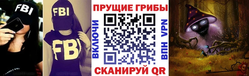 Псилоцибиновые грибы прущие грибы  mega ссылки  Армянск  купить  сайты 